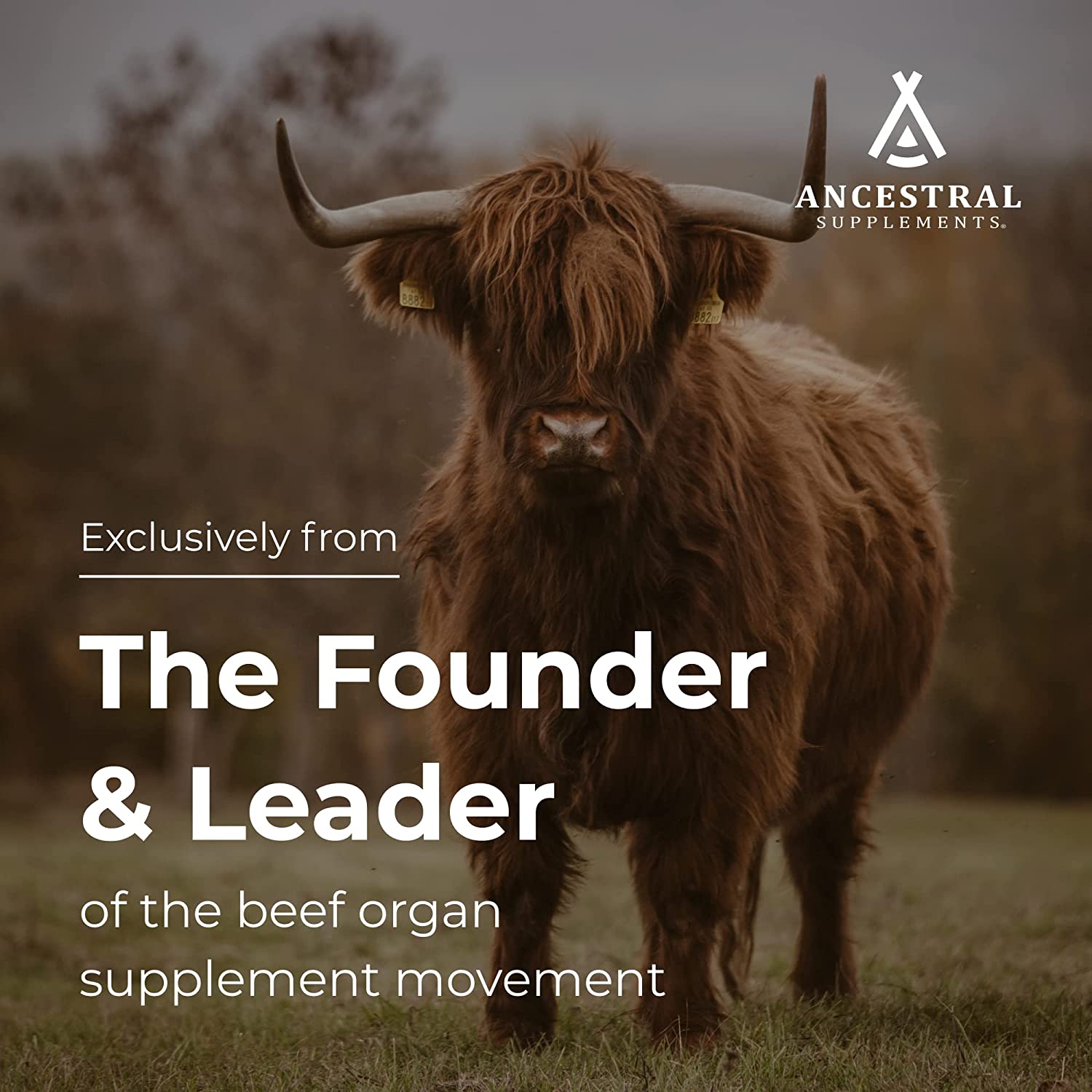 Ancestral Supplements Grass Fed Beef Brain Supplements With Beef Live